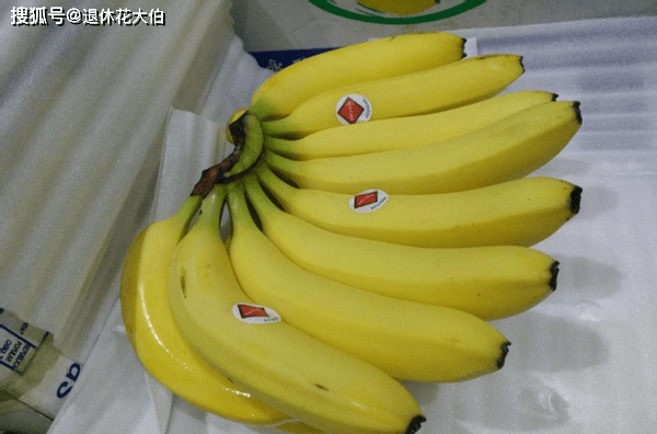 f3b132b4949c43068dcdbe37f13203ab.png
