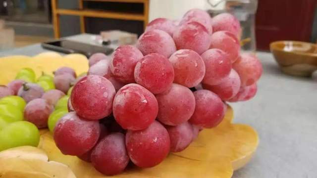 新葡萄品种火了 挂树上是公主 摘下来是皇后 321春种节 妮娜