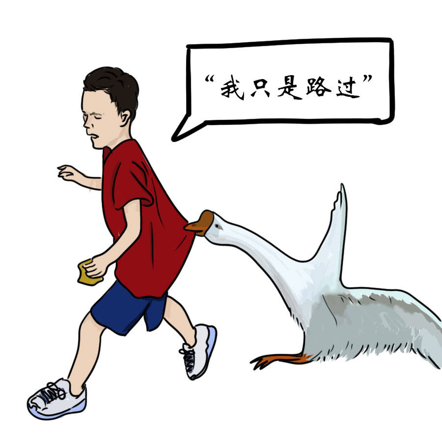 如何制服一只鹅?