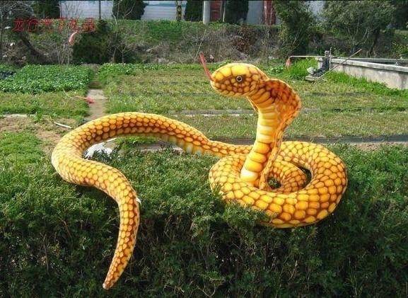 蛇是什么时候活动频繁 7493d406b527452aba94f5b2c7694189.jpeg