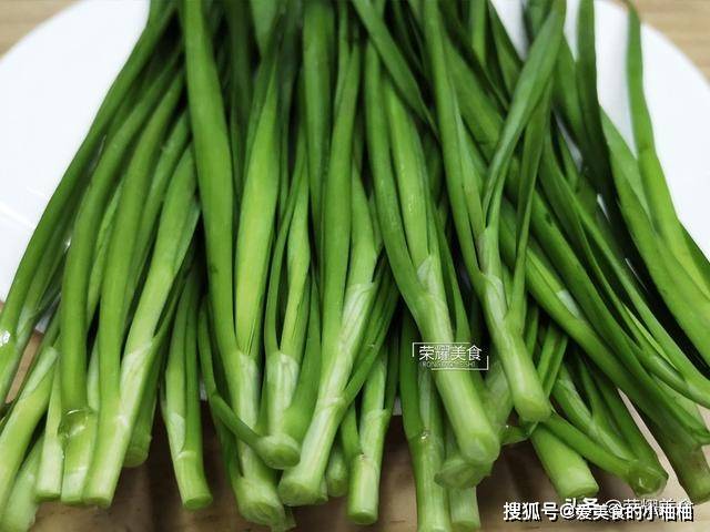 豆角是粗纤维还是细纤维 8299f818335043c2b81dc6d1bd19272e.jpeg