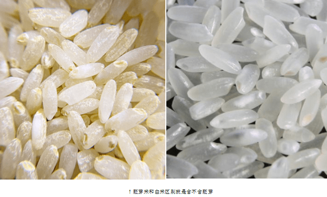 惊 网红宝宝胚芽米 竟然是这样的工厂生产出来的 大米 惊 网红宝宝胚芽米 竟然是这样的工厂生产出来的 大米