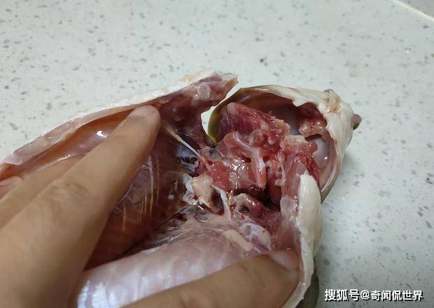 怎么快速去除鱼鳃视频 9d9ad4e8851c4858b9b5aa7e62a23188.jpeg