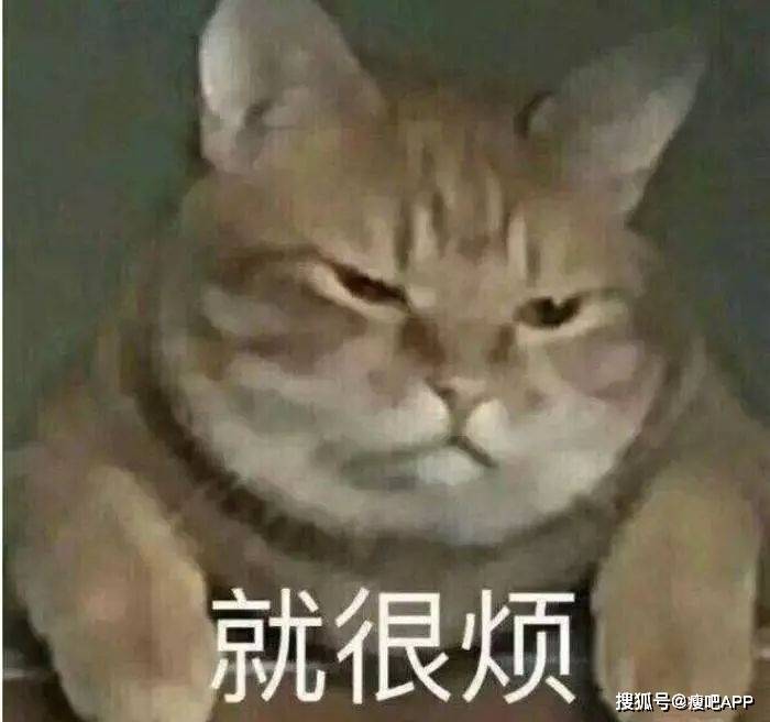 b3a0b3b56de94775859357c7b32e2efa.jpeg
