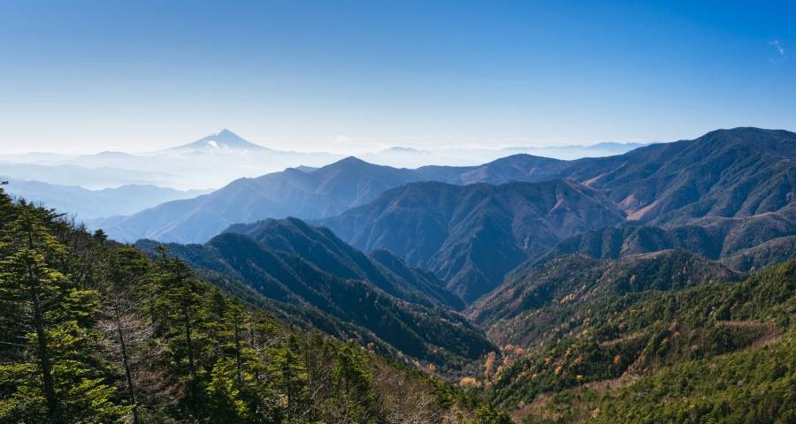 去年唯一双涨！今年开盘再破20%，这家空调巨头正重塑产业格局-家电圈官网