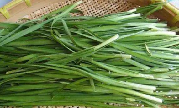 什么时候韭菜最好吃 e79c35e68f874cfcb28ccecedeccb45f.jpeg