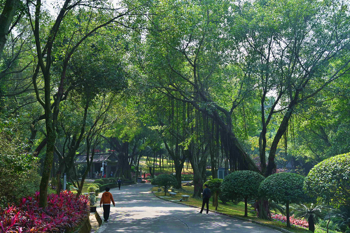 留在佛山过年首选“广东首县”南海区，风景如画，适合休闲度假