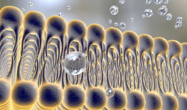 吃什么东西能修复人体受损细胞 e8cb04f9b1644f4bb40525e26b0dc1a2.jpeg