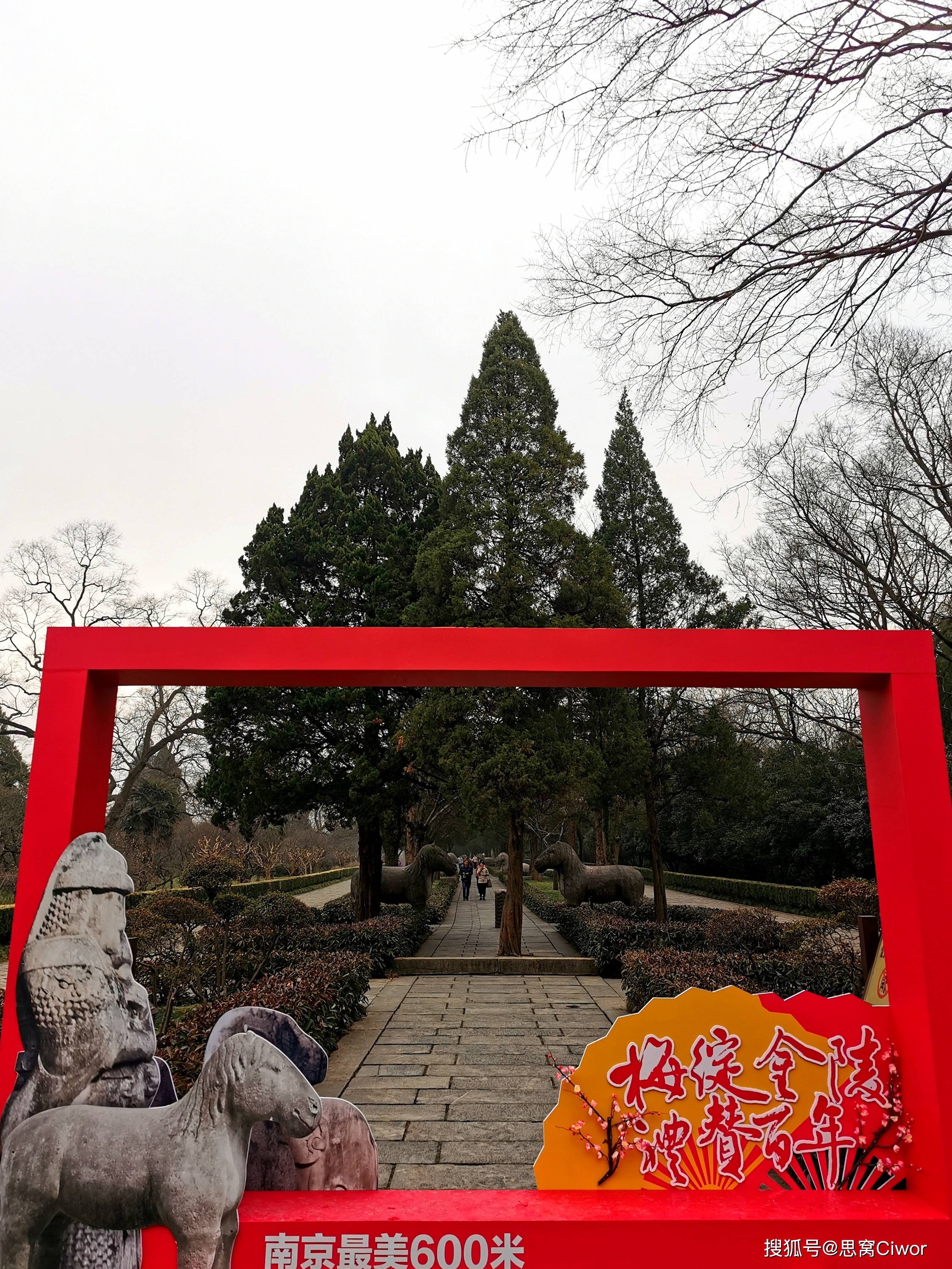 思窝爱旅行的涛哥：钟山风景名胜区梅花山中国南京国际梅花节