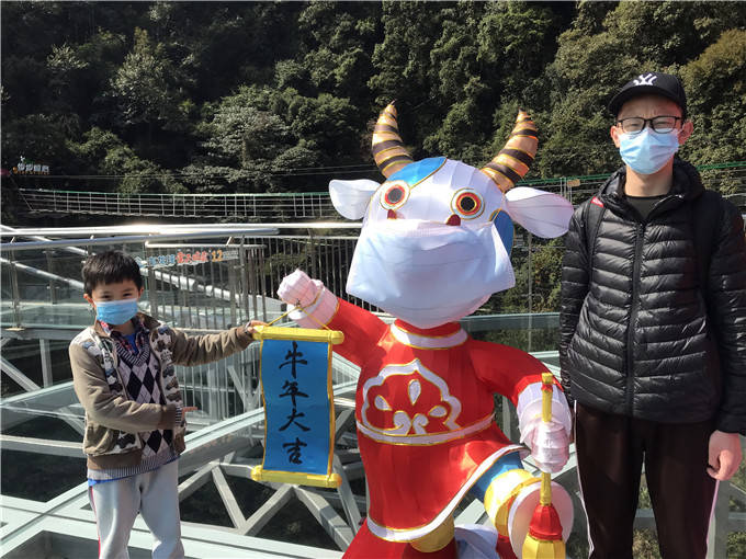 广东景区给牛戴上口罩提醒游客春节出游要注意防护