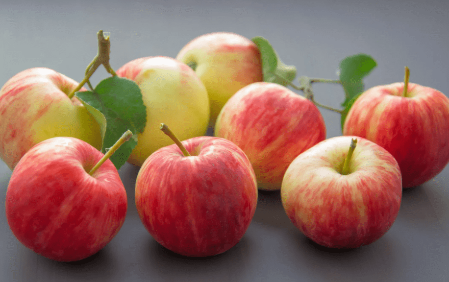 水果店的水果保存方法 1fe9c3a2bf73404fb856a4aa86c4f8f0.png