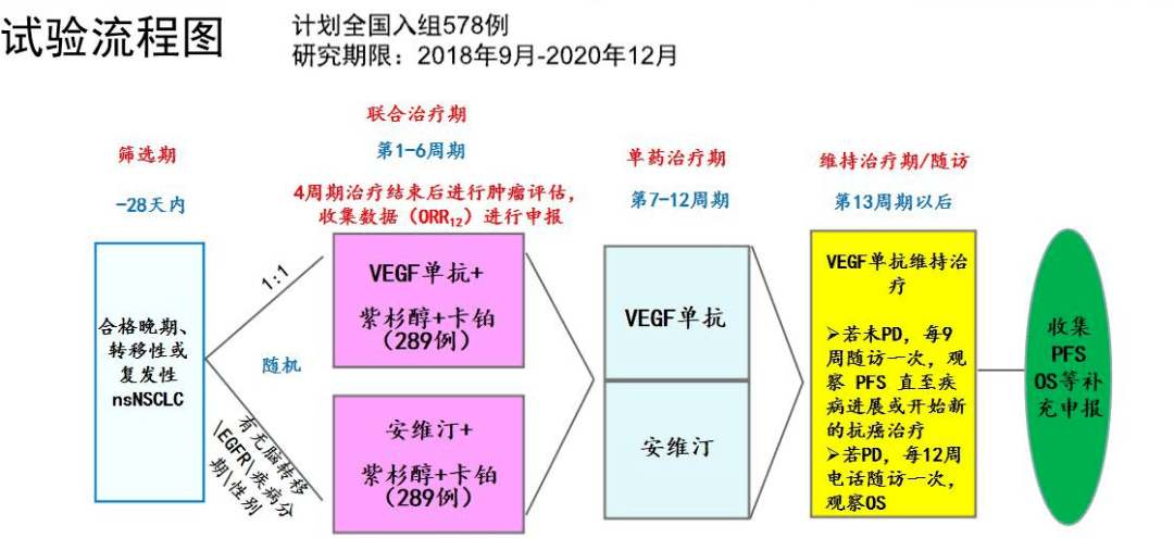 非免疫人口_细胞免疫(2)