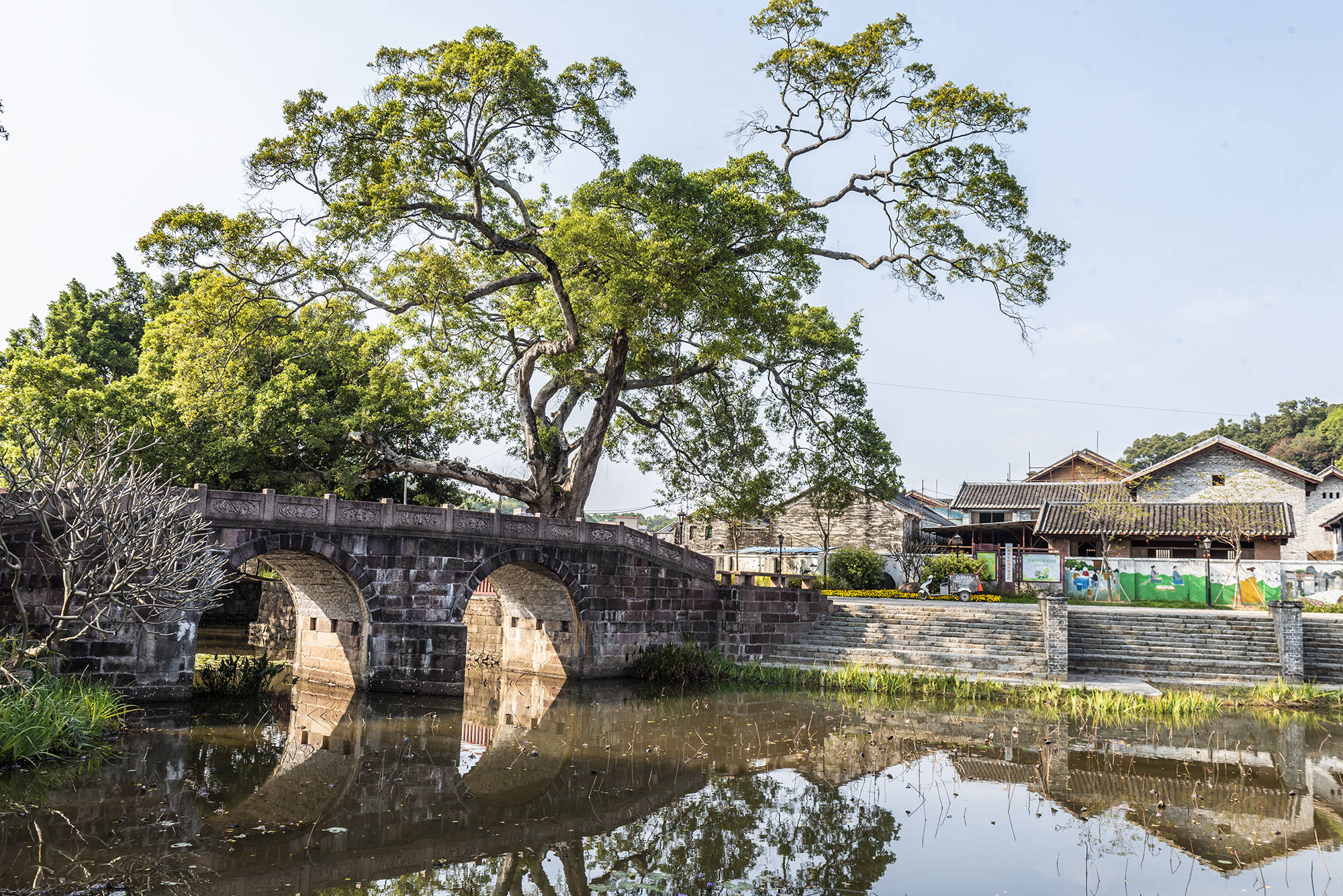 广东有座古村落，被一个养鸭人所建，拥有百年历史却少为人知
