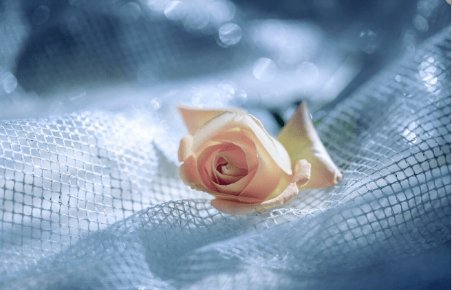 b33426d40a05492a8d9a80916f2a8baf.png