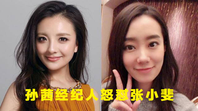 孙茜经纪人怒怼张小斐，给电影《你好，李焕英》差评