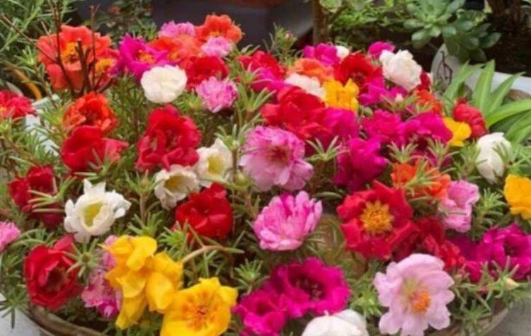 79bddba7b8504b0fb628aa0844034e60.jpeg