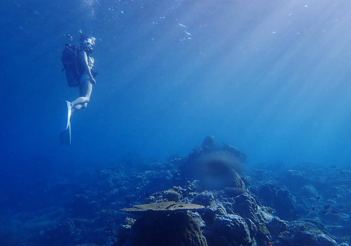 太平洋海底庞大的水下结构，疑似史前文明建筑，是谁建造了它们？