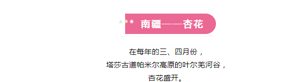 【蜂摄 · 摄影分享】南疆帕米尔杏花人文12日越野车团