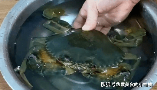 活螃蟹怎么保存一星期 5c58425d2258483c983197a6edc6b049.png
