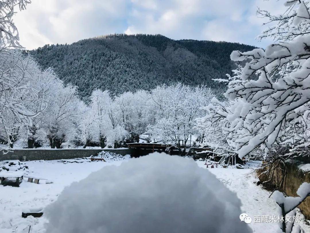 刷爆朋友圈，米林开年第一场大雪，就该这么美！