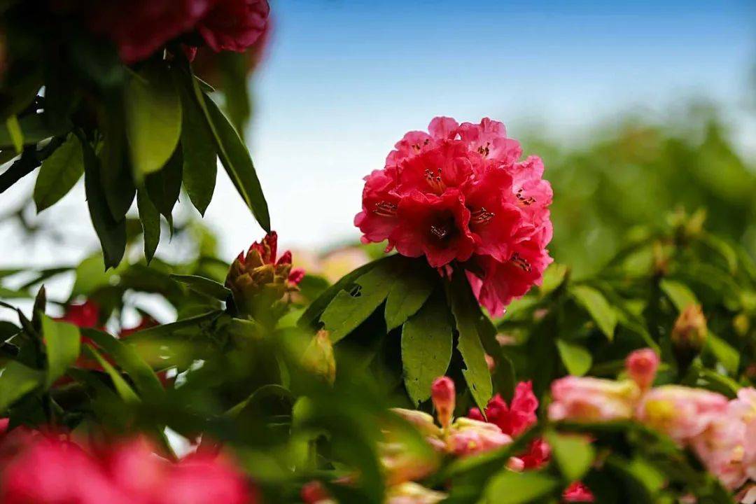 毕节旅游经济总量_毕节地区旅游景点图片(2)
