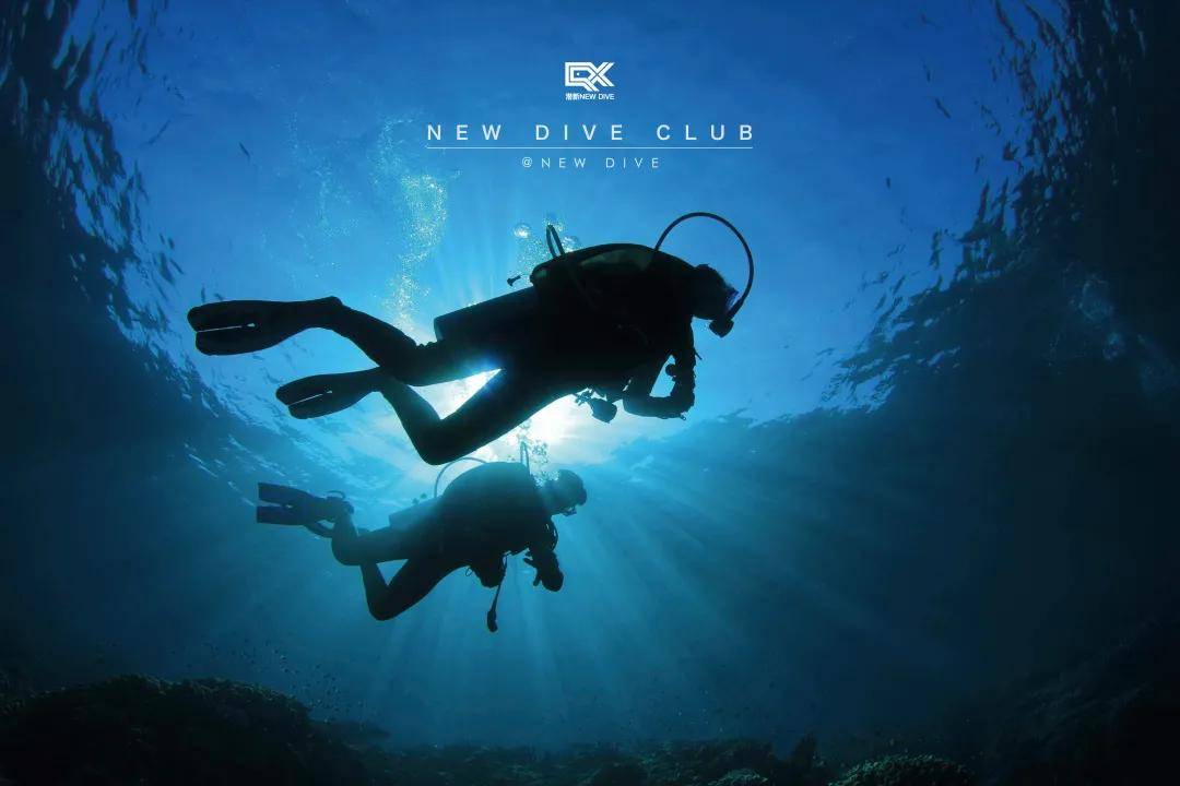 潜新NEW DIVE CLUB|潜游世界,以变促新_潜水