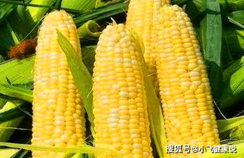 179b4c67e46642a48158affa7c9ce576.png