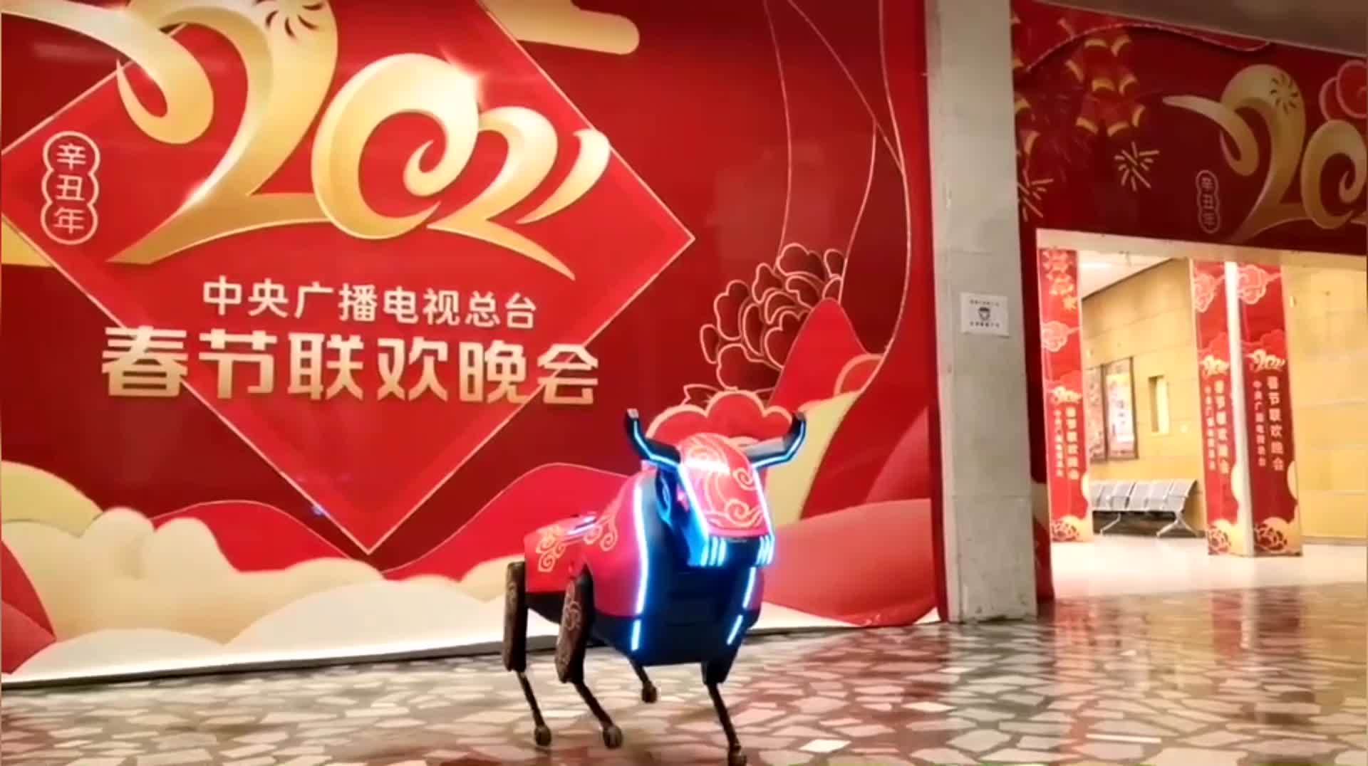 引爆|春晚最火“拓荒牛”，引爆中二“机甲梦”，擎天柱要成？