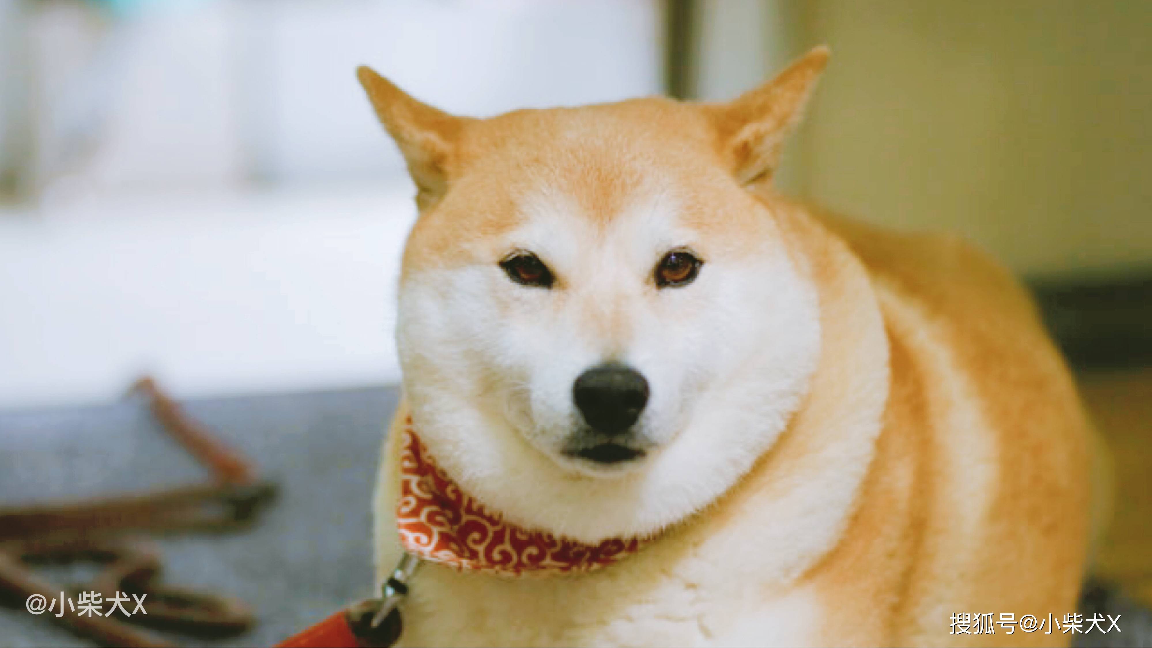 010e184ebdd4402eb04fb3ab1b490f3d.jpeg
