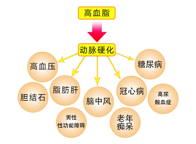 高血脂的危害你知道吗