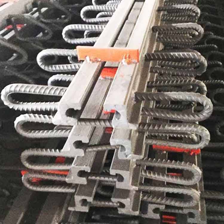 密封条|RG-80桥梁伸缩缝应用范围与产品概述