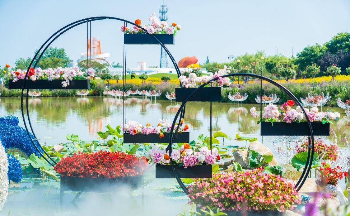 盐城一个开满郁金香的公园，面积3000亩，仿佛置身欧洲小镇