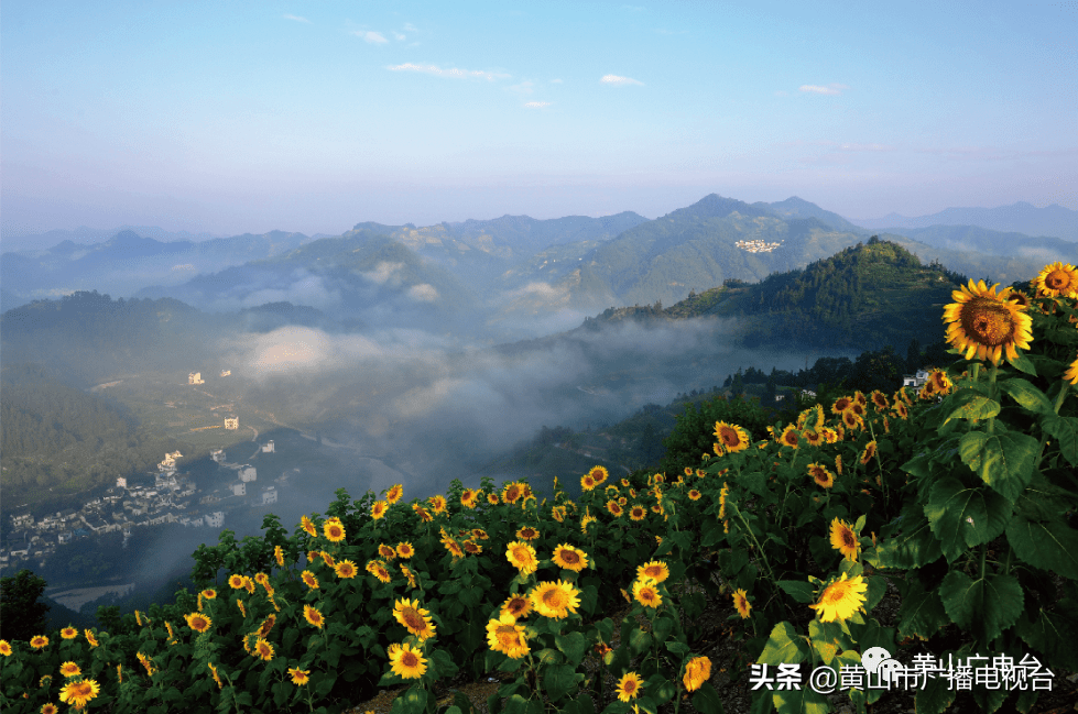 歙县雄村人口_歙县雄村学校图片(2)