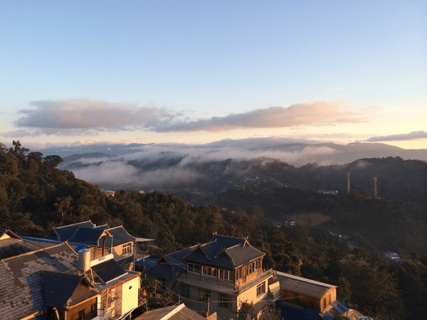 普洱茶发烧友的收藏挚爱，就隐藏在南糯山的深处！