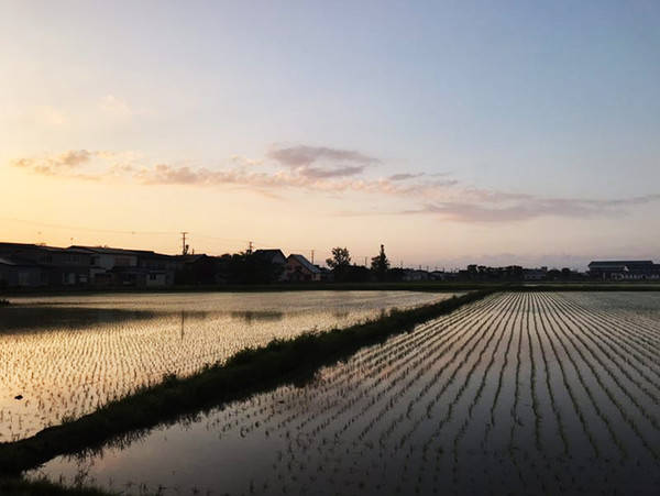 这就是日本的农村了，干净，萧条，一息尚存。——斜阳馆
