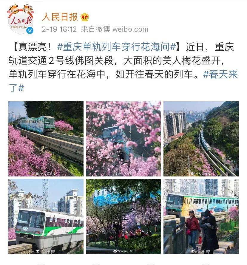重庆不止有“开往春天的列车”，这15个地方也超上镜！