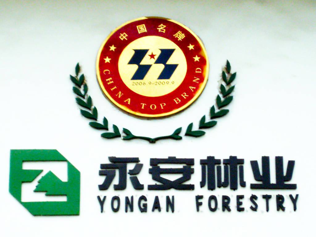 ST永林遭证监会立案调查 公司股价一度跌停