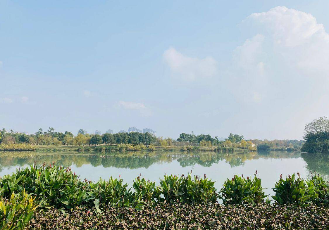 四川最大的城市公园，面积2502亩，环境优雅，免费对游客开放