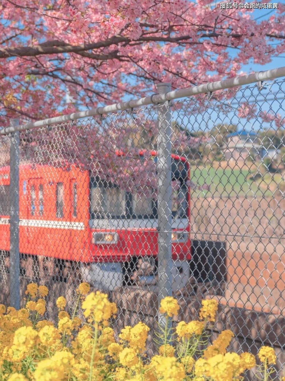 成语超什么独立_成语故事图片(2)