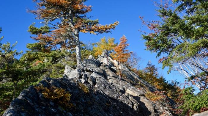 置身难变天的家电产业,厂商要学会利用消费撬动市场破局!-家电圈官网
