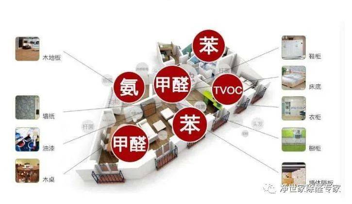 fd1ea7d63ead4403ad2f540fbf3cc6eb.jpeg
