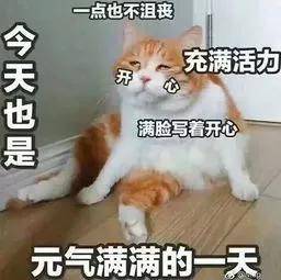00fd81c59a3147bb8a7134ef57425034.jpeg