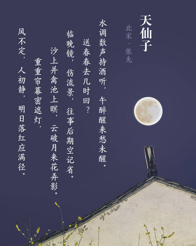 12 历代名词赏析 宋 张先 天仙子 沙上并禽池上暝 云破月来花弄影 水调