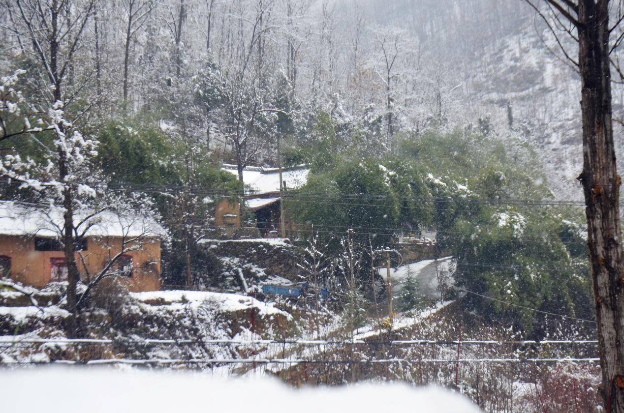 正月十五雪打灯，河南的正月大雪让洛阳这个景区再次进入仙境