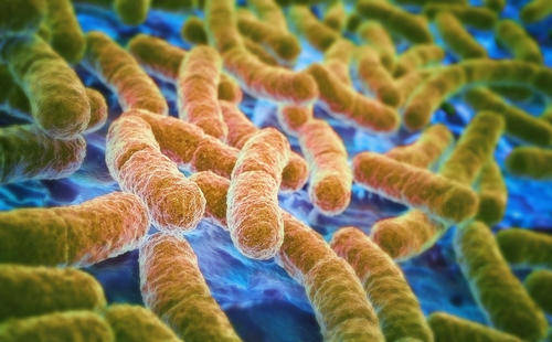 国际旅行者很容易受到耐药细菌的致命菌株的感染