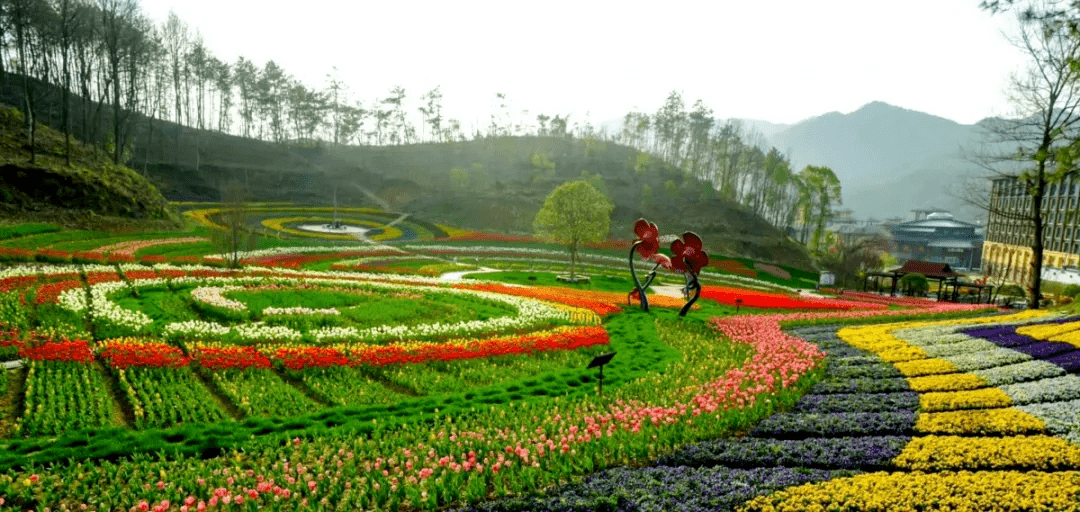 武汉周边赏花的颜值担当：超大规模的郁金香花海、樱花、海棠百合