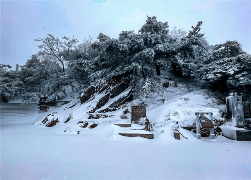 一夜之间，临沂迎来今年第一场春雪！蒙山绝美山河，绽放出另一种美