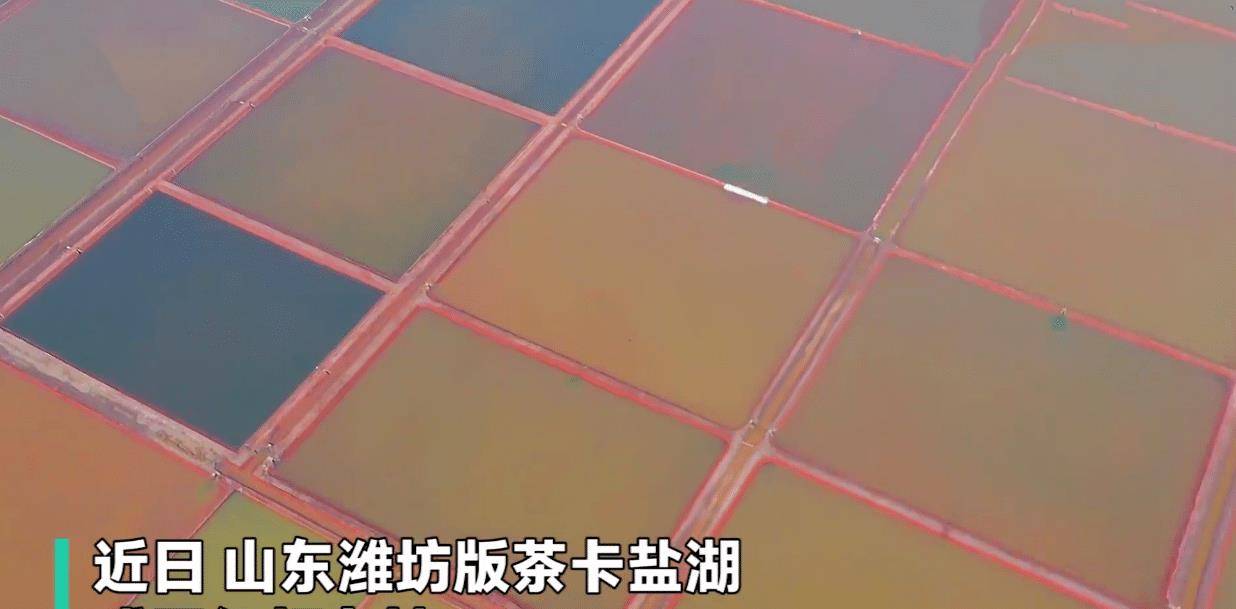 山东潍坊“茶卡盐湖分湖”成网红打卡地，当地官方发出警告