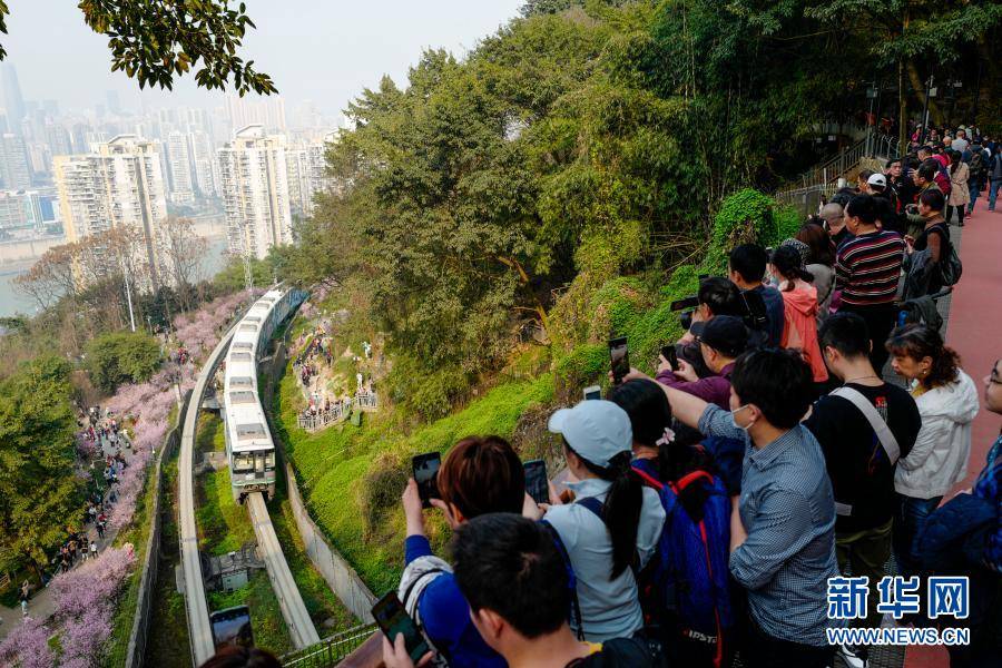 重庆：一路繁花相送 带你驶向春天