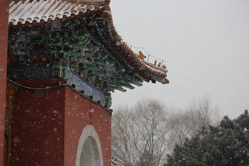 沈阳 | 盛京的冬天，有雪，有冬泳，有烤肉，有的尽是烟火气